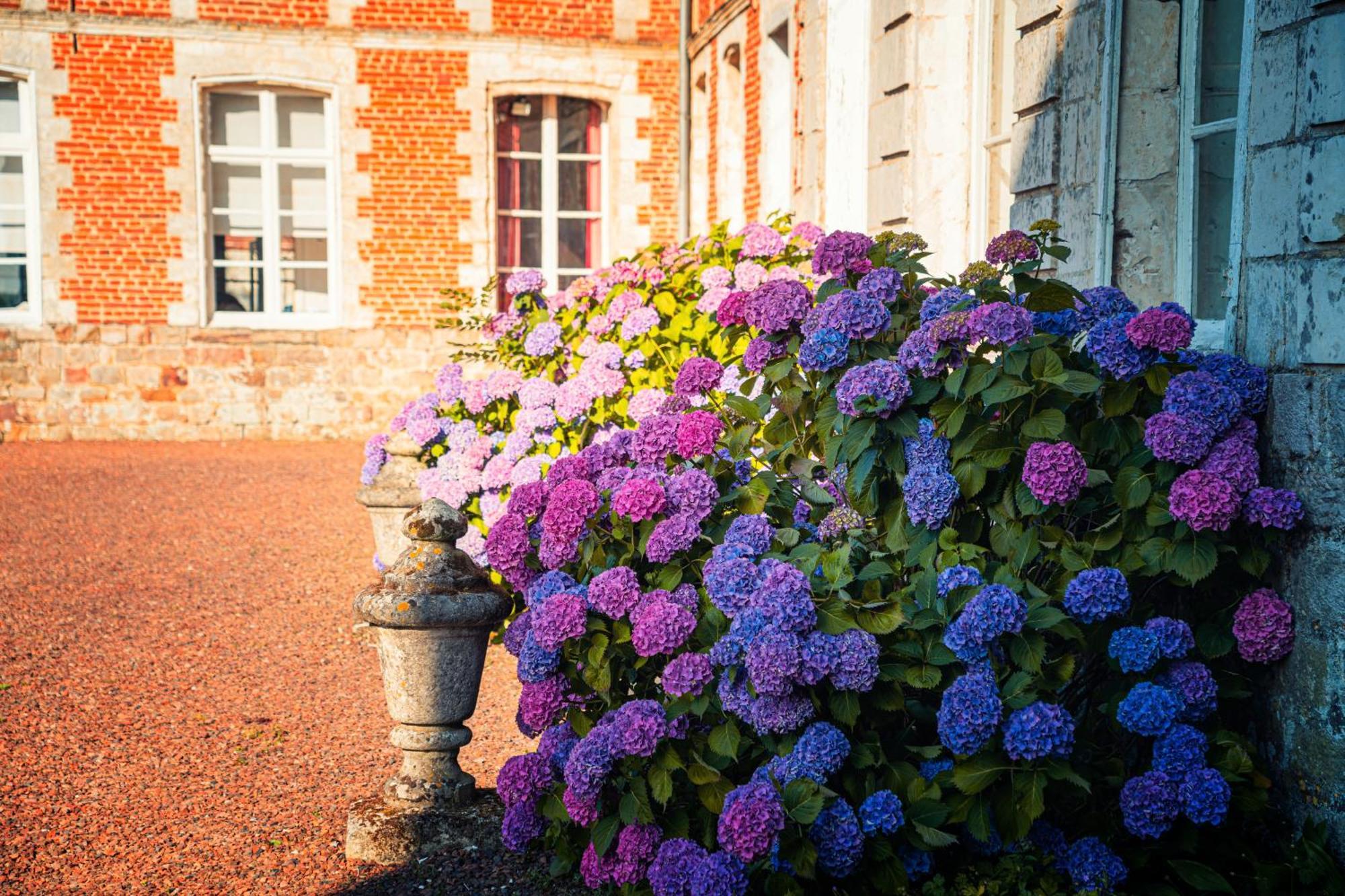 Chambres D'Hotes & Gites Du Chateau De Grand Rullecourt Bagian luar foto