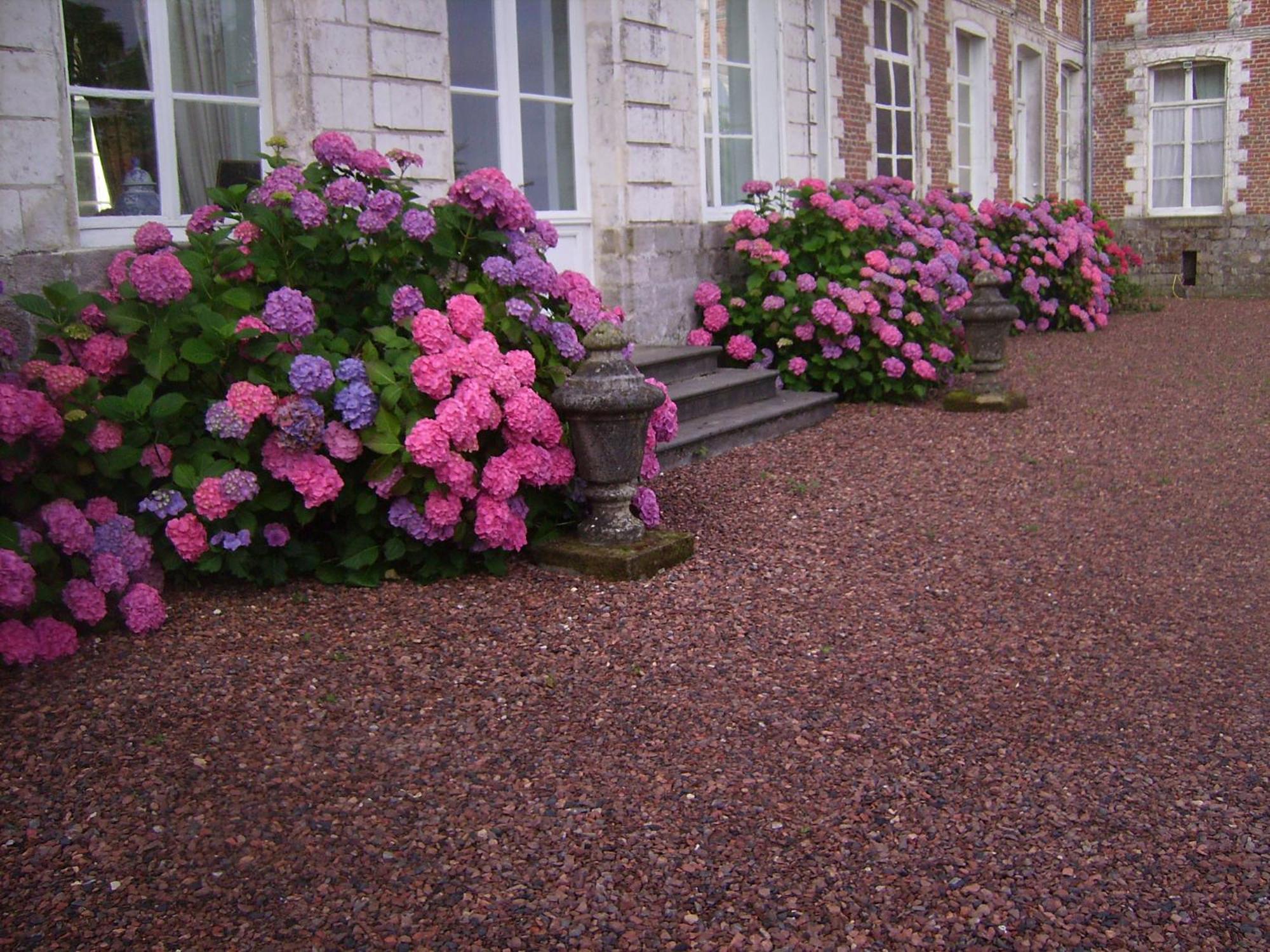 Chambres D'Hotes & Gites Du Chateau De Grand Rullecourt Bagian luar foto