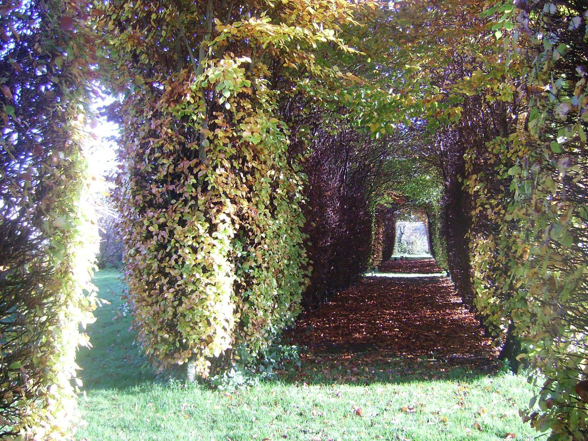 Chambres D'Hotes & Gites Du Chateau De Grand Rullecourt Bagian luar foto